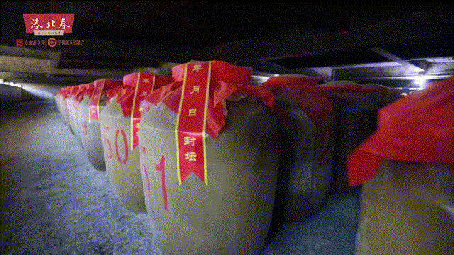 地下酒窖動(dòng)態(tài).gif