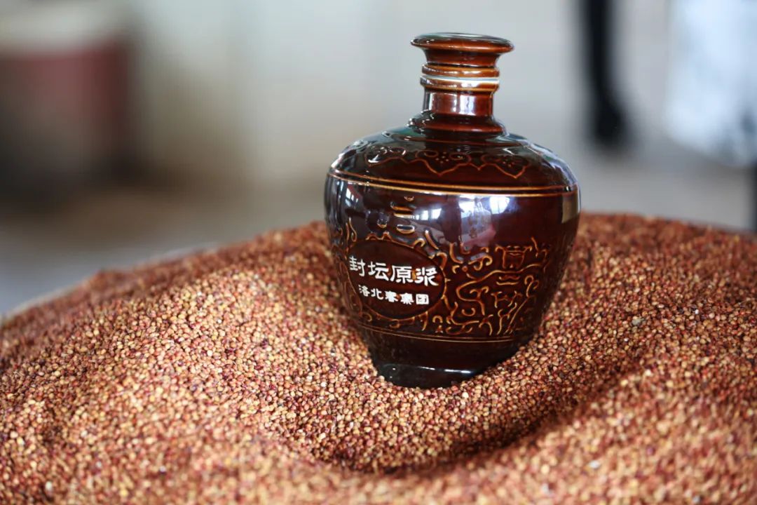 插圖1.jpg